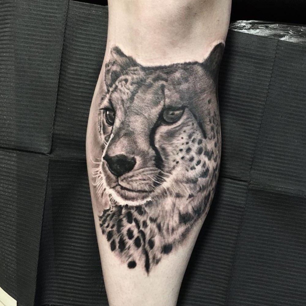 Cheetah