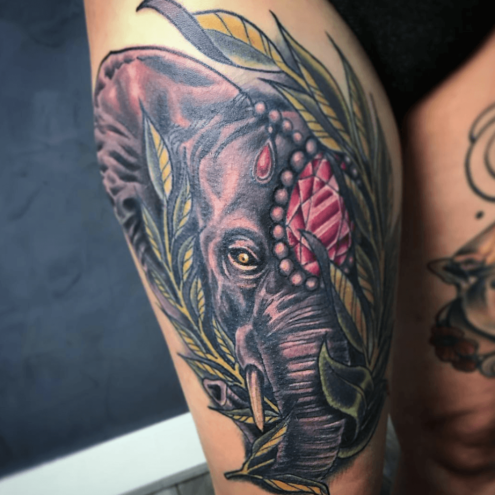 Elephant