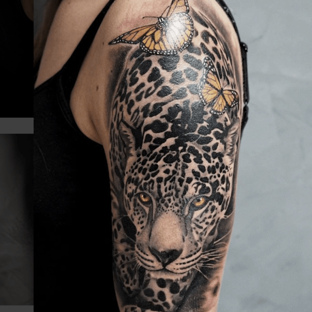 Leopard