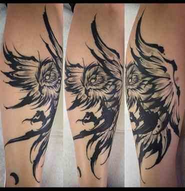 Owl