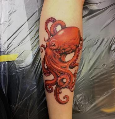 Octopus