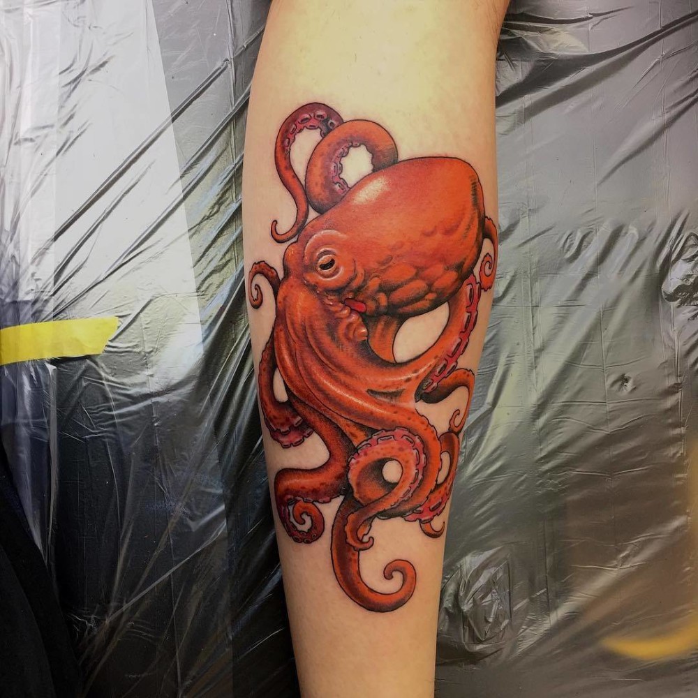 Octopus