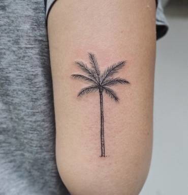 Palmtree