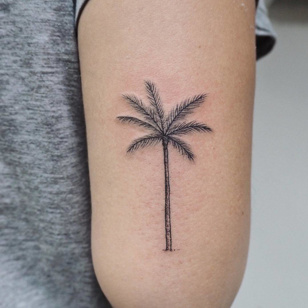 Palmtree