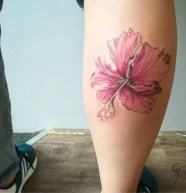 Panama series hibiscus
