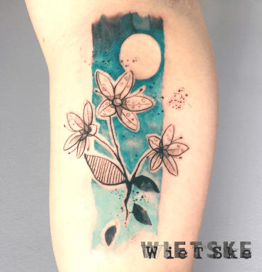 Saxifrage