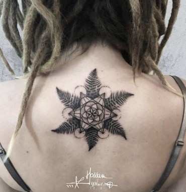 sacred geometry ferns